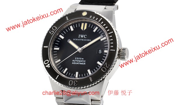 IWC 421254001 スーパーコピー時計